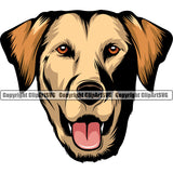 Labrador Dog Color Head Design Cute Animal Face Design Puppy Pup Purebred Pedigree Vector Canine K-9 K9 Animal Portrait Clipart SVG