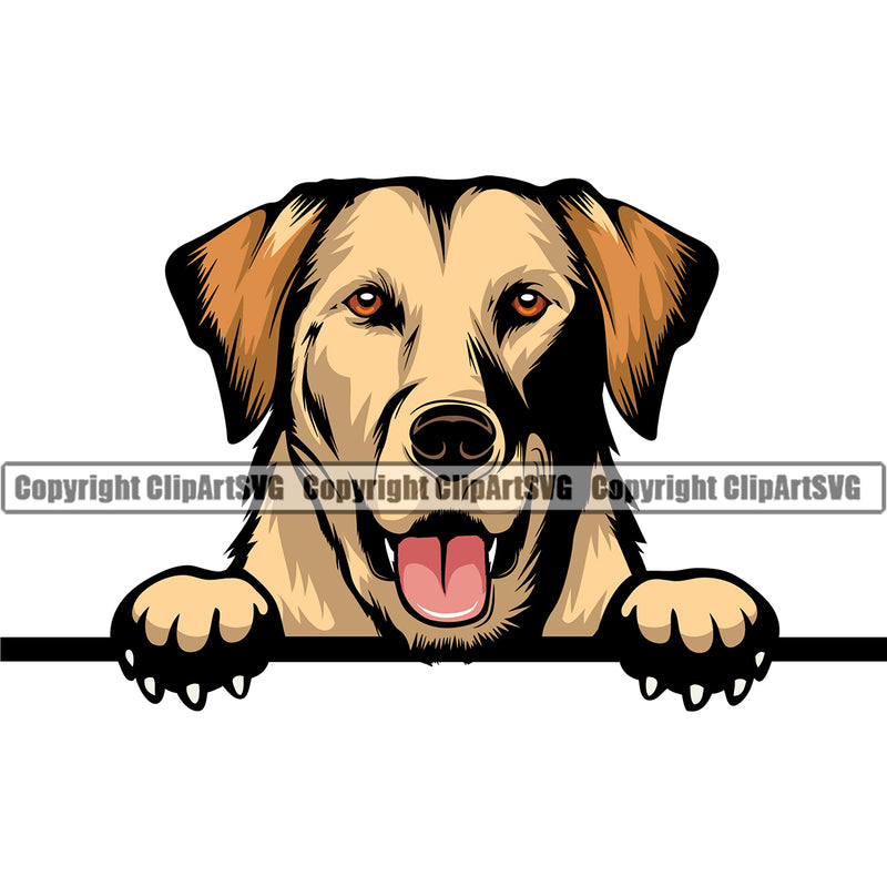 Labrador Dog Peeking Color Head Design Puppy Pup Head Purebred Pedigree Vector Portrait Doggy Face Cute Animal Clipart SVG