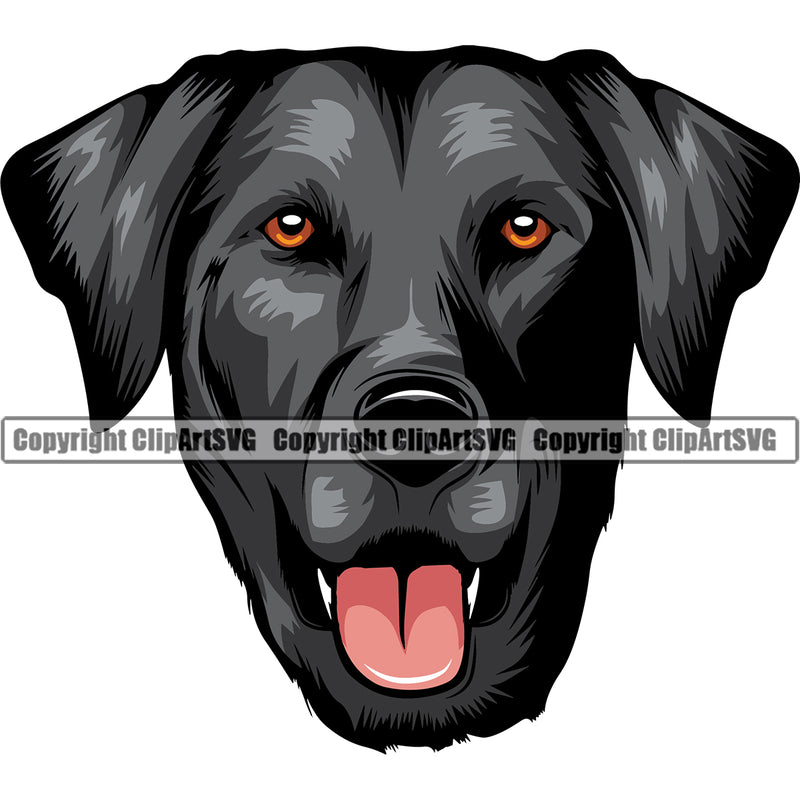 Labrador Dog Black Color Head Design Canine K-9 K9 Animal Portrait Doggy Face Vector Pup Purebred Pedigree Clipart SVG