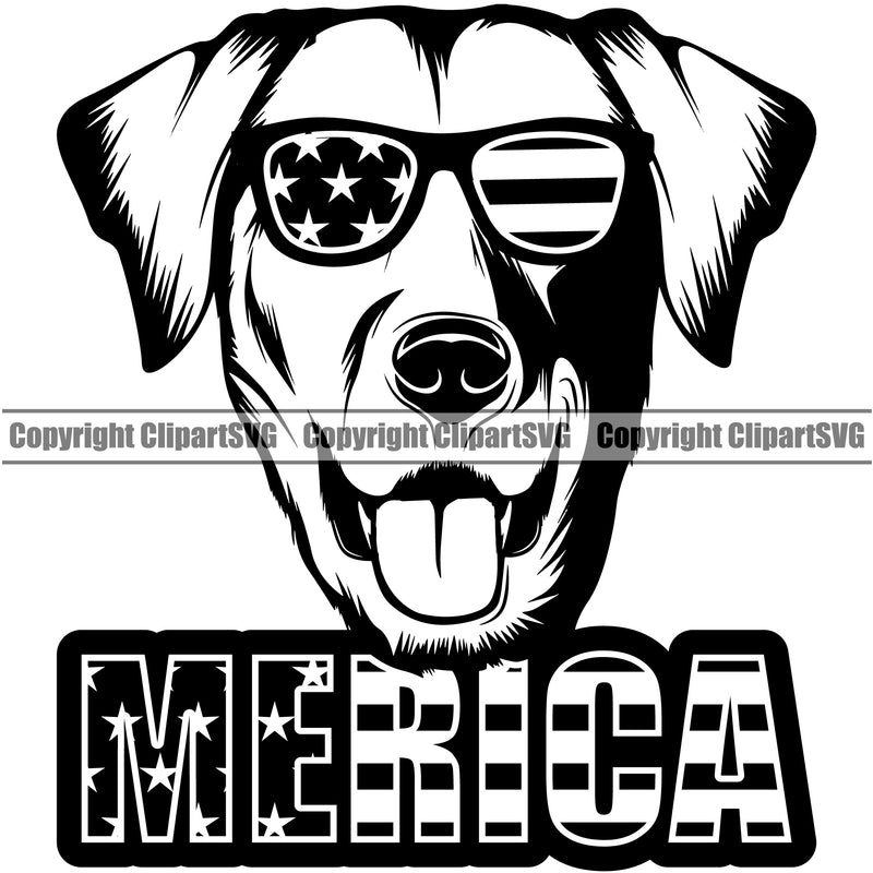 Labrador Dog Wearing Sunglasses Merica Text K9 Animal Portrait Doggy Face Cute Vector Head Purebred Pedigree Clipart SVG