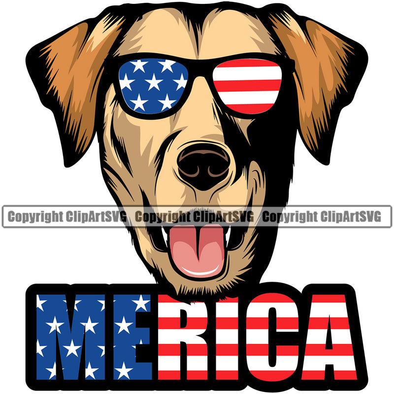 Labrador Dog Wearing Sunglasses Color Merica Text K9 Animal Portrait Doggy Face Cute Vector Head Purebred Pedigree Clipart SVG