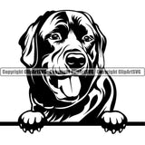 Labrador Dog Peeking Design Element Puppy Pup Head Purebred Pedigree Canine Animal Portrait Doggy Face Cute K9 Clipart SVG