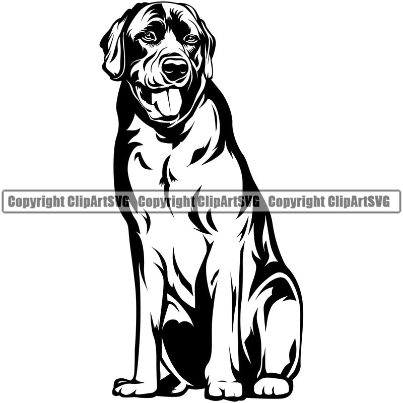 Labrador Dog Sitting Design Element Puppy Pup Head Purebred Pedigree Canine K-9 K9 Animal Portrait Doggy Body Vector Clipart SVG