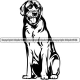 Labrador Dog Sitting Design Element Puppy Pup Head Purebred Pedigree Canine K-9 K9 Animal Portrait Doggy Body Vector Clipart SVG
