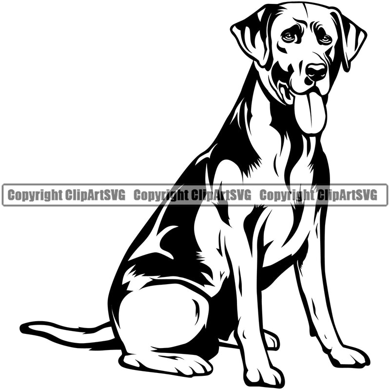 Labrador Dog Sitting Design Animal Portrait Doggy Face Cute Body Puppy Pup Head Purebred Pedigree Canine K9 Clipart SVG