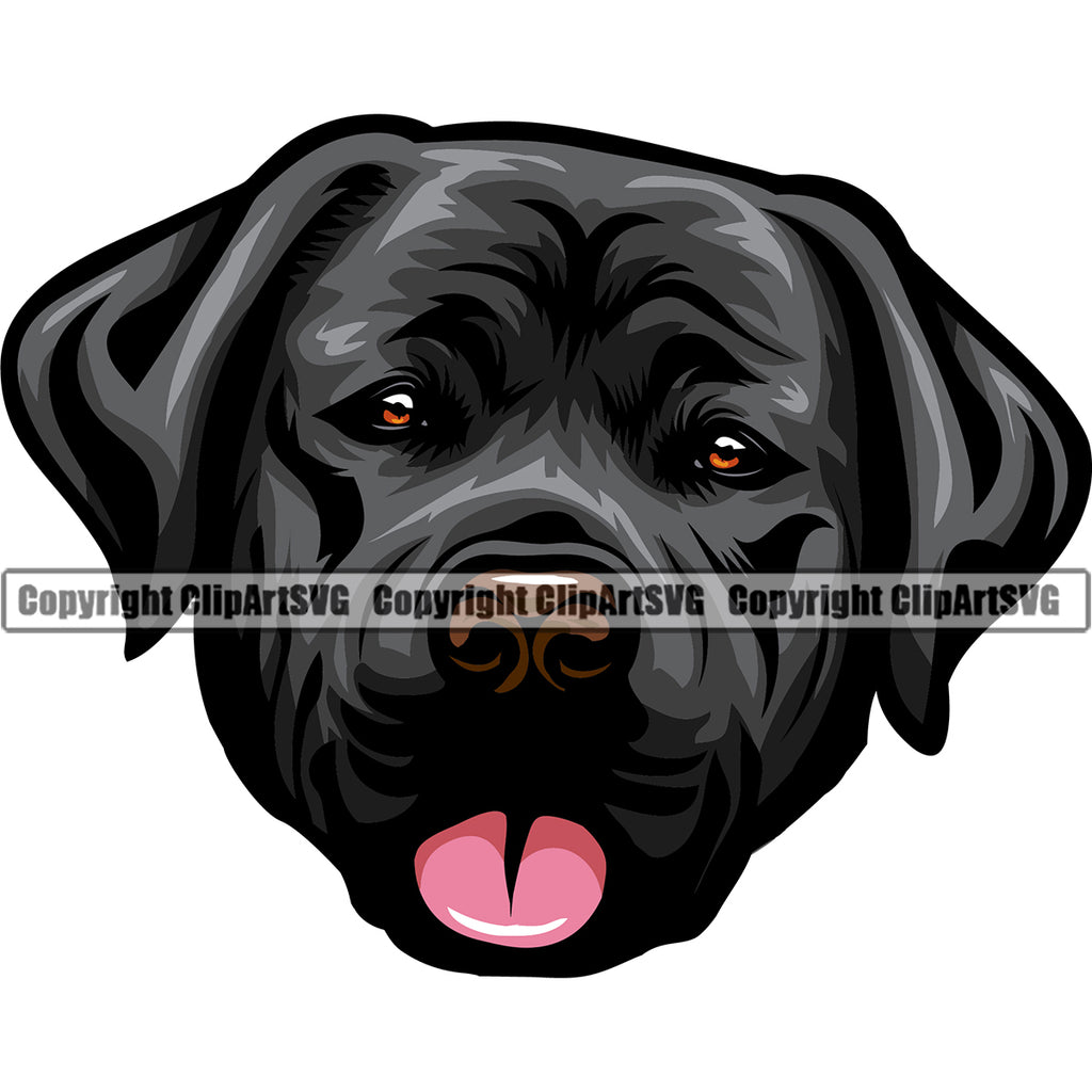 Labrador Dog Head Design Element Puppy Pup Head Purebred Pedigree Canine K-9 K9 Animal Face Cute Body Clipart SVG