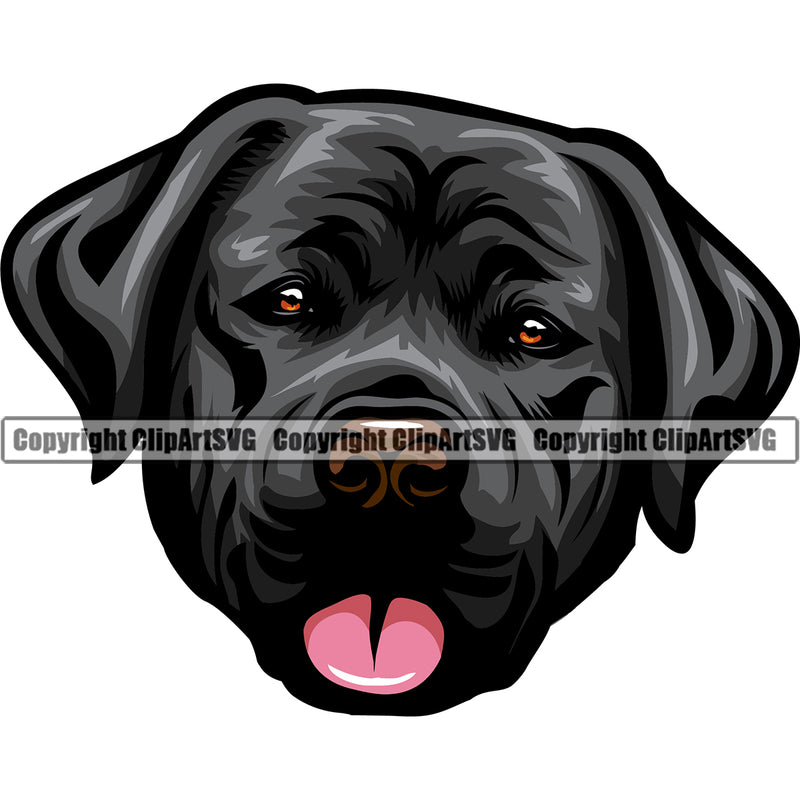 Labrador Dog Head Design Element Puppy Pup Head Purebred Pedigree Canine K-9 K9 Animal Face Cute Body Clipart SVG