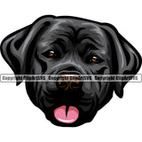Labrador Dog Head Design Element Puppy Pup Head Purebred Pedigree Canine K-9 K9 Animal Face Cute Body Clipart SVG