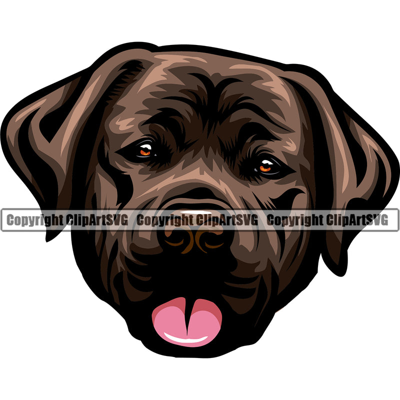 Labrador Dog Brown Color Head Design Puppy Pup Purebred Pedigree Canine K-9 K9 Animal Portrait Doggy Face Cute Body Clipart SVG