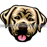 Labrador Dog Yellow Color Head Design Animal Puppy Pup Purebred Pedigree Canine K-9 K9 Animal Portrait Doggy Face Cute Body Vector Clipart SVG