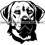Labrador Dog Head Design Purebred Pedigree Portrait Doggy Face Cute Body Canine K-9 K9 Animal Vector Clipart SVG