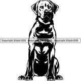 Labrador Dog Sitting Design Element Doggy Face Cute Body Purebred Pedigree Canine K-9 K9 Animal Portrait Puppy Clipart SVG