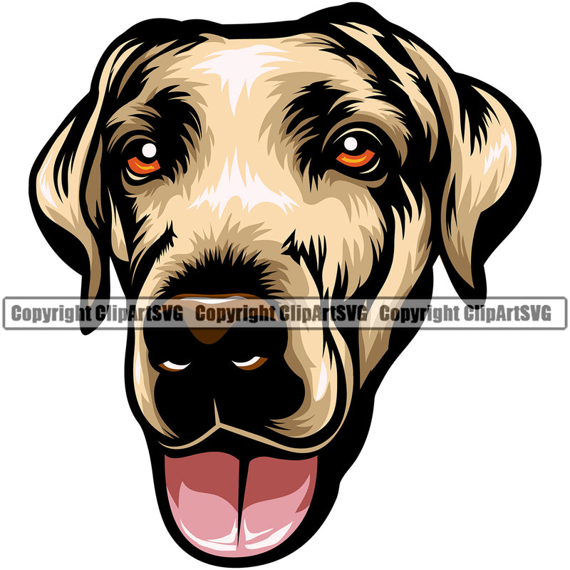 Labrador Yellow Color Dog Head Design Canine K-9 K9 Animal Portrait Doggy Face Cute Puppy Pup Head Purebred Pedigree Clipart SVG
