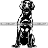 Labrador Retriever Dog Sitting Design Doggy Face Cute Body Puppy Pup Purebred Pedigree Canine K-9 K9 Animal Portrait Clipart SVG