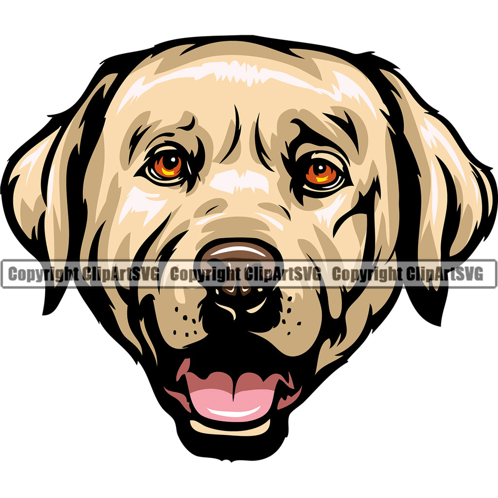 Labrador Retriever Yellow Color Dog Head Design Element Puppy Pup Purebred Pedigree Canine K-9 K9 Animal Portrait Doggy Face Cute Vector Clipart SVG