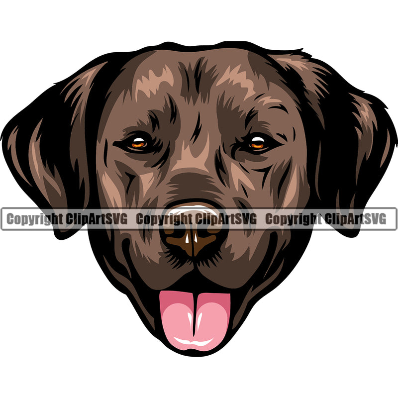 Labrador Retriever Dog Head Design Brown Color Purebred Pedigree Canine K-9 K9 Puppy Animal Portrait Doggy Face Cute Vector Clipart SVG