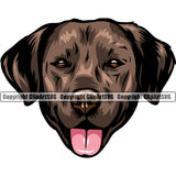 Labrador Retriever Dog Head Design Brown Color Purebred Pedigree Canine K-9 K9 Puppy Animal Portrait Doggy Face Cute Vector Clipart SVG