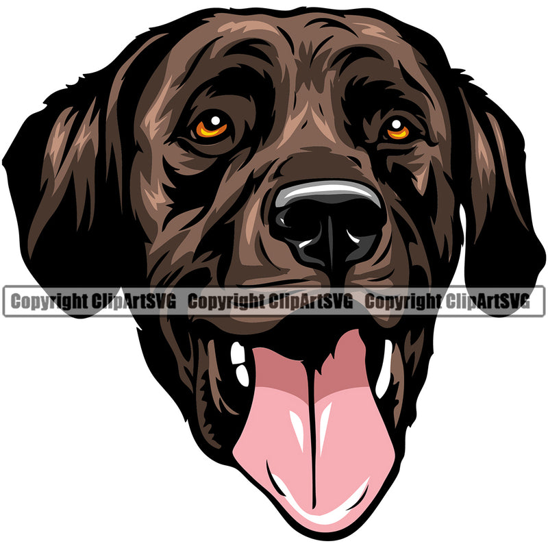 Labrador Retriever Happy Face Dog Brown Color Design Element Purebred Pedigree Canine K-9 K9 Animal Portrait Doggy Face Puppy Cute Clipart SVG