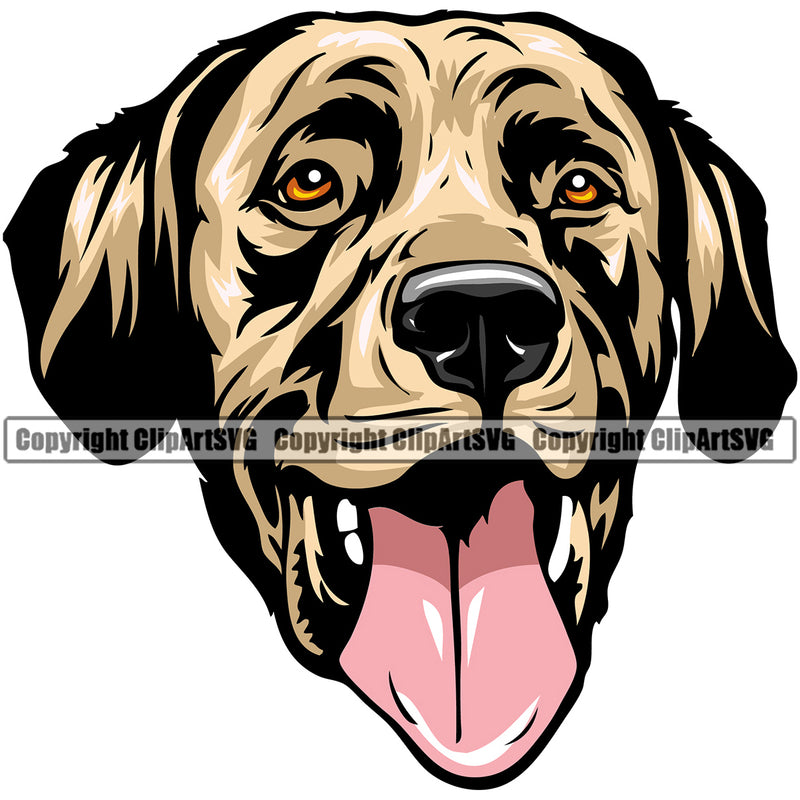 Labrador Retriever Dog Yellow Color Design Element Puppy Pup Purebred Pedigree Canine Animal Portrait Doggy Face K9 Clipart SVG