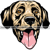 Labrador Retriever Dog Yellow Color Design Element Puppy Pup Purebred Pedigree Canine Animal Portrait Doggy Face K9 Clipart SVG