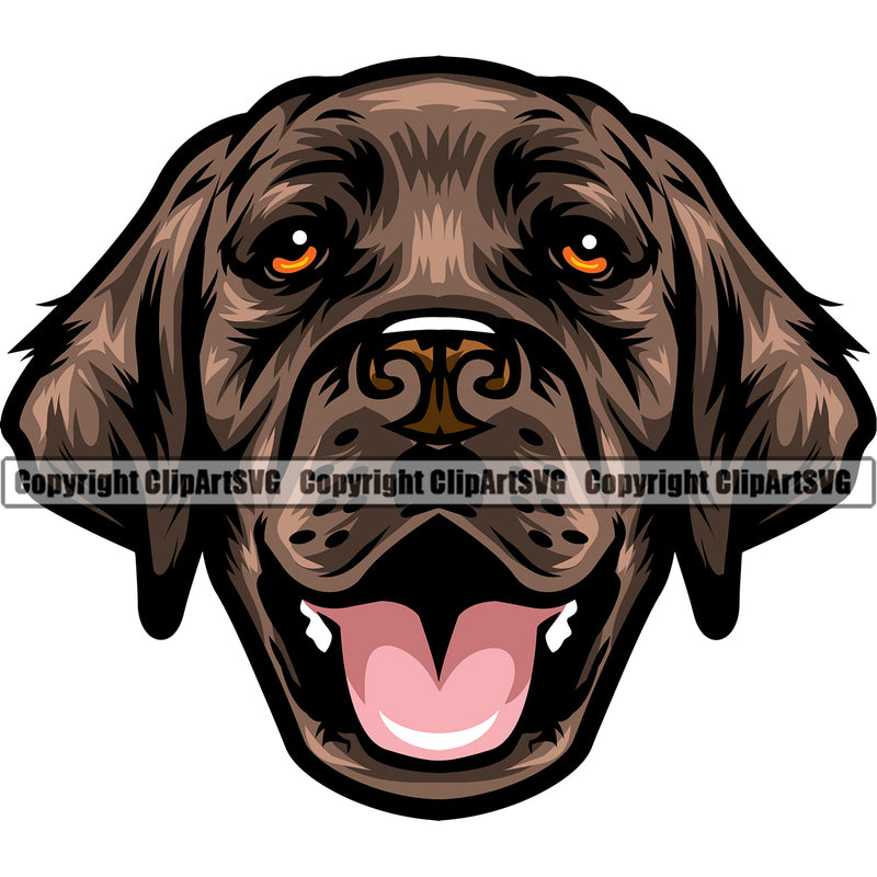 Labrador Retriever Brown Color Dog Head Design Element Purebred Pedigree Canine K-9 K9 Animal Portrait Doggy Face Cute Body Puppy Clipart SVG