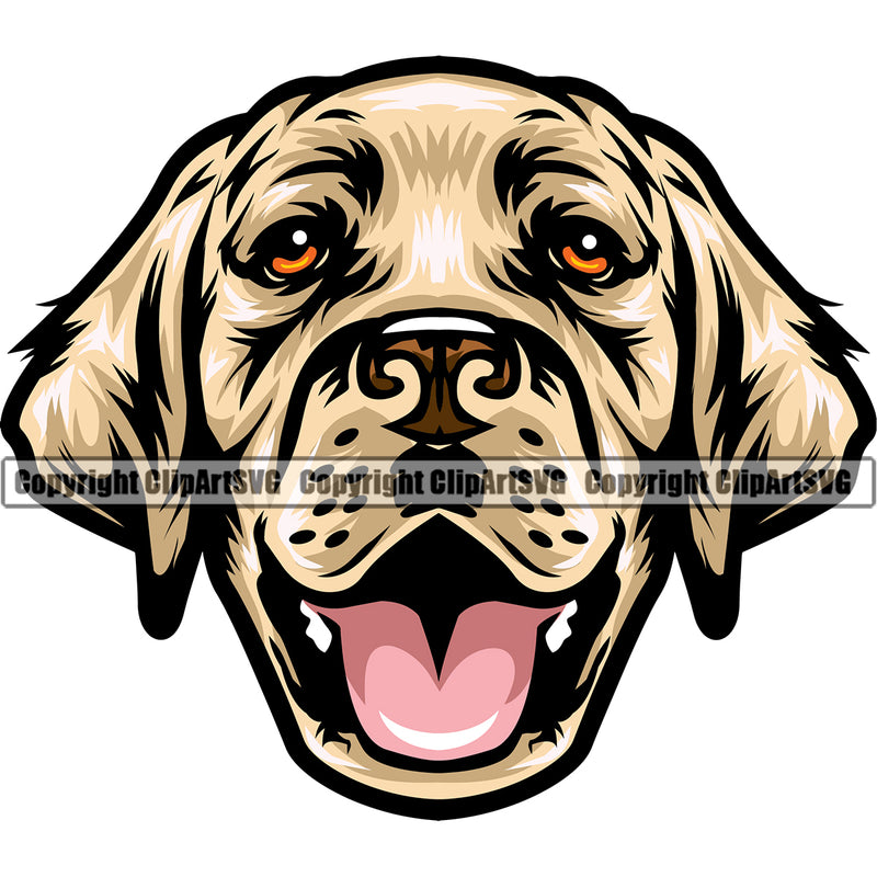 Labrador Retriever Yellow Color Dog Head Happy Face Design Element Purebred Pedigree Canine K-9 K9 Animal Portrait Doggy Vector Clipart SVG