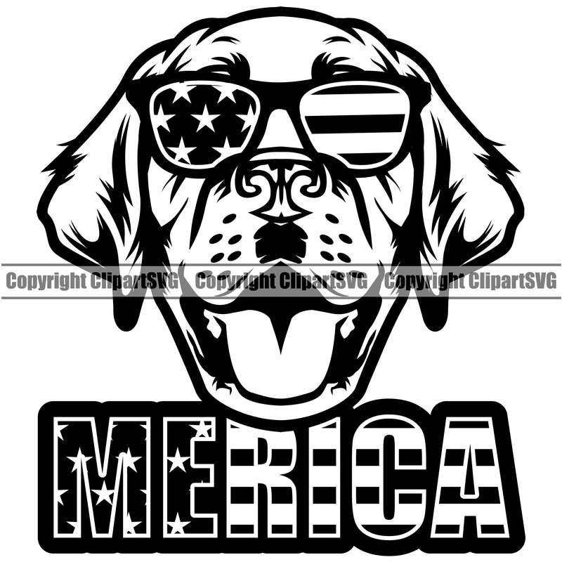 Labrador Retriever Dog Wearing Sunglasses Merica Design Head Purebred Pedigree Canine K-9 K9 Animal Portrait Doggy Face Clipart SVG