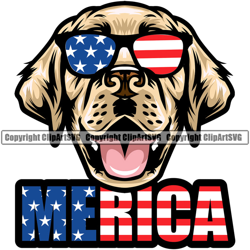 Labrador Retriever Dog Wearing Sunglasses With Merica Text Design Element Purebred Pedigree Canine K-9 K9 Animal Portrait Doggy Head Clipart SVG