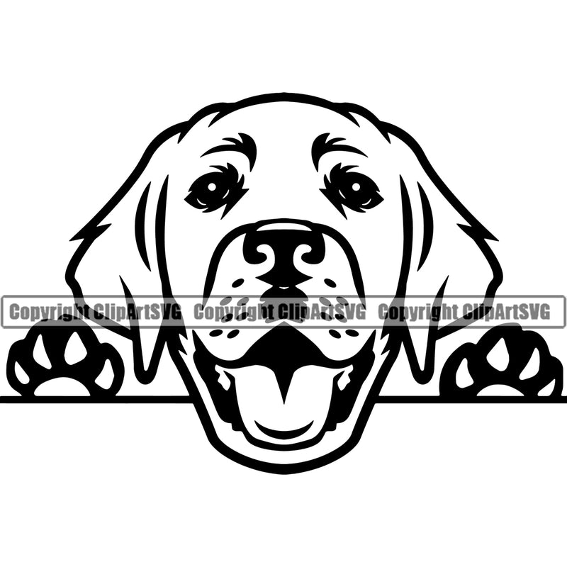 Labrador Retriever Dog Peeking Design Smile Face Head Purebred Pedigree Canine K-9 K9 Animal Portrait Doggy Cute Vector Clipart SVG