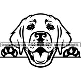 Labrador Retriever Dog Peeking Design Smile Face Head Purebred Pedigree Canine K-9 K9 Animal Portrait Doggy Cute Vector Clipart SVG