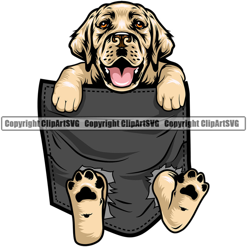 Labrador Retriever Dog Hanging From Shirt Pocket Color Design Element  Puppy Pup Head Purebred Pedigree Canine K-9 K9 Animal Portrait Doggy Cute Face Clipart SVG