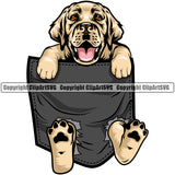 Labrador Retriever Dog Hanging From Shirt Pocket Color Design Element  Puppy Pup Head Purebred Pedigree Canine K-9 K9 Animal Portrait Doggy Cute Face Clipart SVG