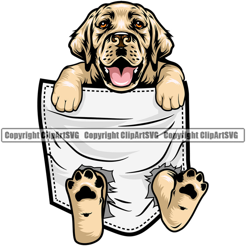 Labrador Retriever Dog Hanging From Shirt Pocket Yellow Color Design Element Head Purebred Pedigree Canine K-9 K9 Animal Portrait Doggy Face Cute Body Clipart SVG