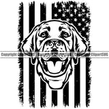Labrador Retriever Dog Under USA Flag Design Element Merica America Portrait Doggy Face Cute Puppy Pup Head Purebred Pedigree Canine K-9 K9 Animal Clipart SVG