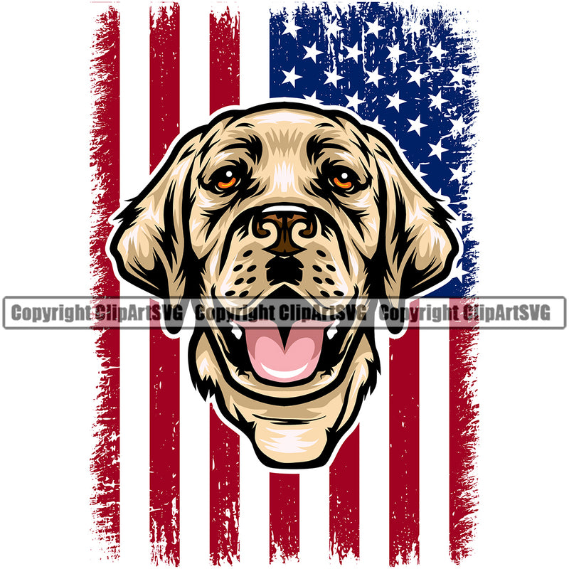 Labrador Retriever Dog Under USA Flag Color Design Element Puppy Pup Head Purebred K9 Animal Portrait Doggy Face Cute Pedigree Canine Clipart SVG