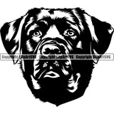 Labrador Dog Head Design Element Purebred Pedigree Canine K-9 K9 Animal Portrait Doggy Face Cute Puppy Vector Clipart SVG