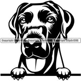 Labrador Dog Peeking Head Design Element Purebred Pedigree Canine K-9 K9 Animal Portrait Doggy Face Cute Puppy Pup Clipart SVG