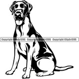 Labrador Dog Sitting Design Body Pedigree Canine K-9 K9 Animal Portrait Doggy Face Cute Puppy Pup Head Purebred Vector Clipart SVG
