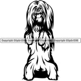 Lhasa Apso Dog Begging Design Element Cute Face Animal Puppy Pup Head Purebred Pedigree Canine K-9 K9 Portrait Doggy Vector Clipart SVG