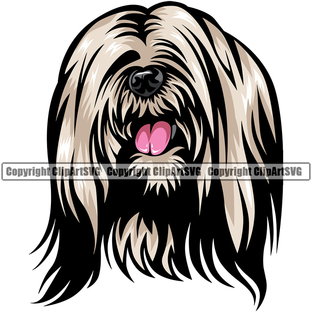 Lhasa Apso Cute Dog Head Design Element Purebred Pedigree Canine K-9 K9 Animal Portrait Doggy Puppy Pup Vector Clipart SVG
