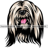 Lhasa Apso Cute Dog Head Design Element Purebred Pedigree Canine K-9 K9 Animal Portrait Doggy Puppy Pup Vector Clipart SVG