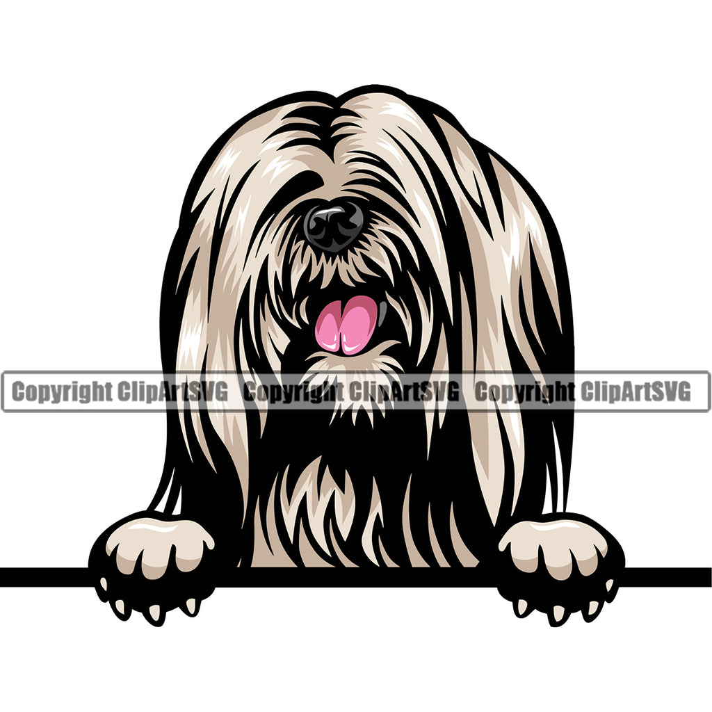 Lhasa Apso Cute Face Dog Peeking Design Color  Puppy Pup Head Purebred Pedigree Canine K-9 K9 Animal Portrait Doggy Clipart SVG