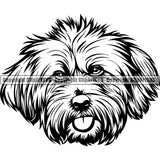 Lhasa Apso Dog Head Design Element Cute Face Animal Puppy Pup Purebred Pedigree Canine Portrait Doggy K9 Vector Clipart SVG