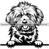 Lhasa Apso Dog Peeking Design Puppy Pup Head Purebred K9 Animal Portrait Pedigree Canine Doggy Face Cute Vector Clipart SVG