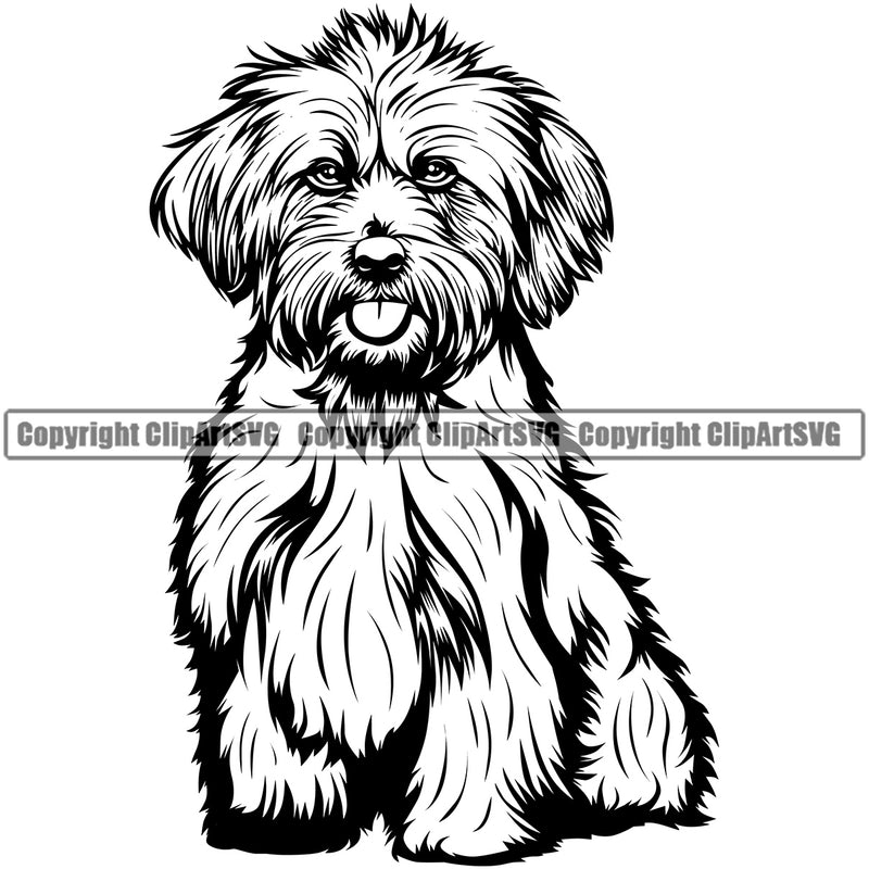 Lhasa Apso Sitting Dog Design Element Pedigree Canine K-9 K9 Portrait Doggy Cute Face Animal Puppy Pup Head Vector Clipart SVG