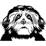Lhasa Apso Dog Head Design Cute Face Animal Puppy Pup Head Purebred Pedigree Canine K9 Portrait Doggy Vector Clipart SVG