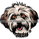 Lhasa Apso Dog Color Head Design Element Puppy Pup Head Purebred K-9 K9 Animal Portrait Doggy Face Pedigree Canine Vector Clipart SVG