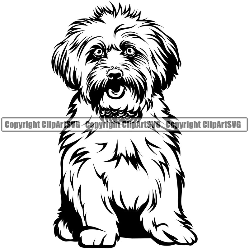 Lhasa Apso Dog Sitting Design Element Purebred Pedigree Canine K-9 K9 Animal Portrait Doggy Face Cute Body Puppy Head Clipart SVG