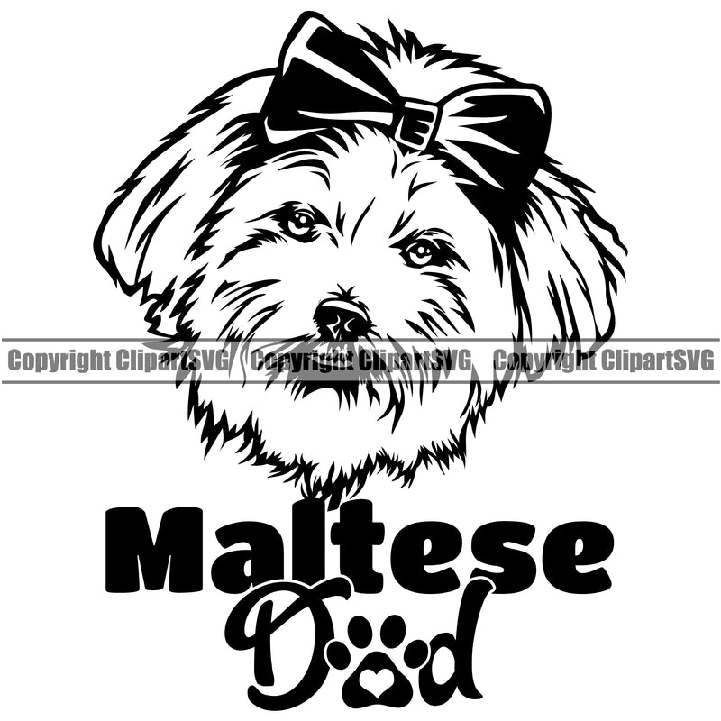 Maltese Dad Dog Design Element Cute Face Puppy Pup Head Purebred Pedigree Canine K9 Animal Portrait Doggy Vector Clipart SVG