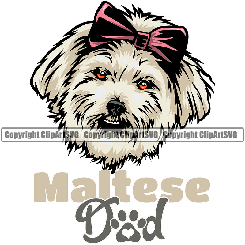 Maltese Dad Dog Smile Face Animal Design Element Puppy Pup Head Purebred Pedigree Canine K-9 K9 Portrait Doggy Vector Clipart SVG